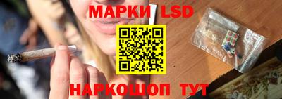 стаф Вязники